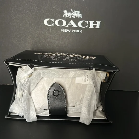 NWT Coach Belvedere Cashin Carry 22 Fire Island Graphic Leather Purse Handbag - Picture 15 of 15